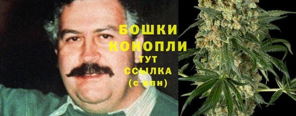 COCAINE Белокуриха