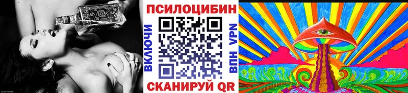 купить наркоту  сайты даркнета телеграм  Псилоцибиновые грибы GOLDEN TEACHER  Южно-Сухокумск 